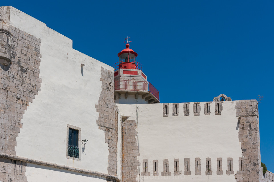 DSC04236.jpg DSC04236.jpg