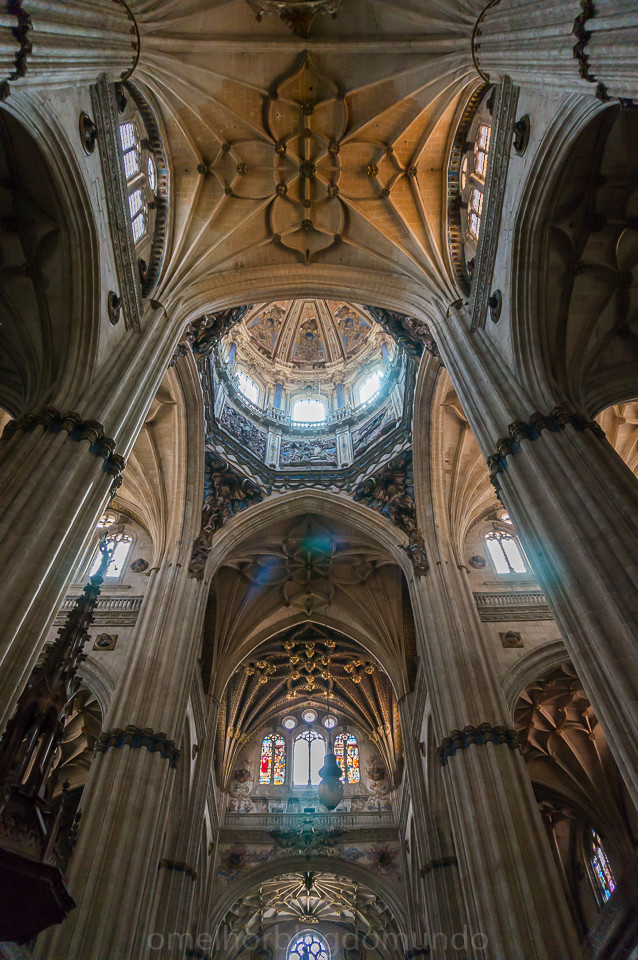 DSC02979.jpg DSC02979.jpg