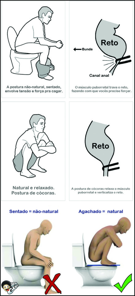 como sentar na sanita.jpg