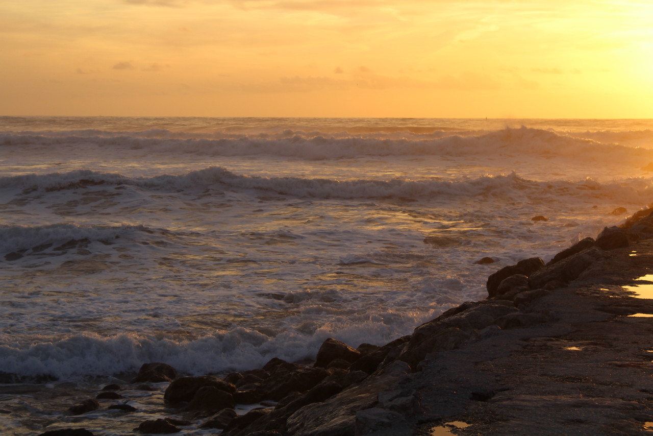 IMG_0240.JPG IMG_0240.JPG