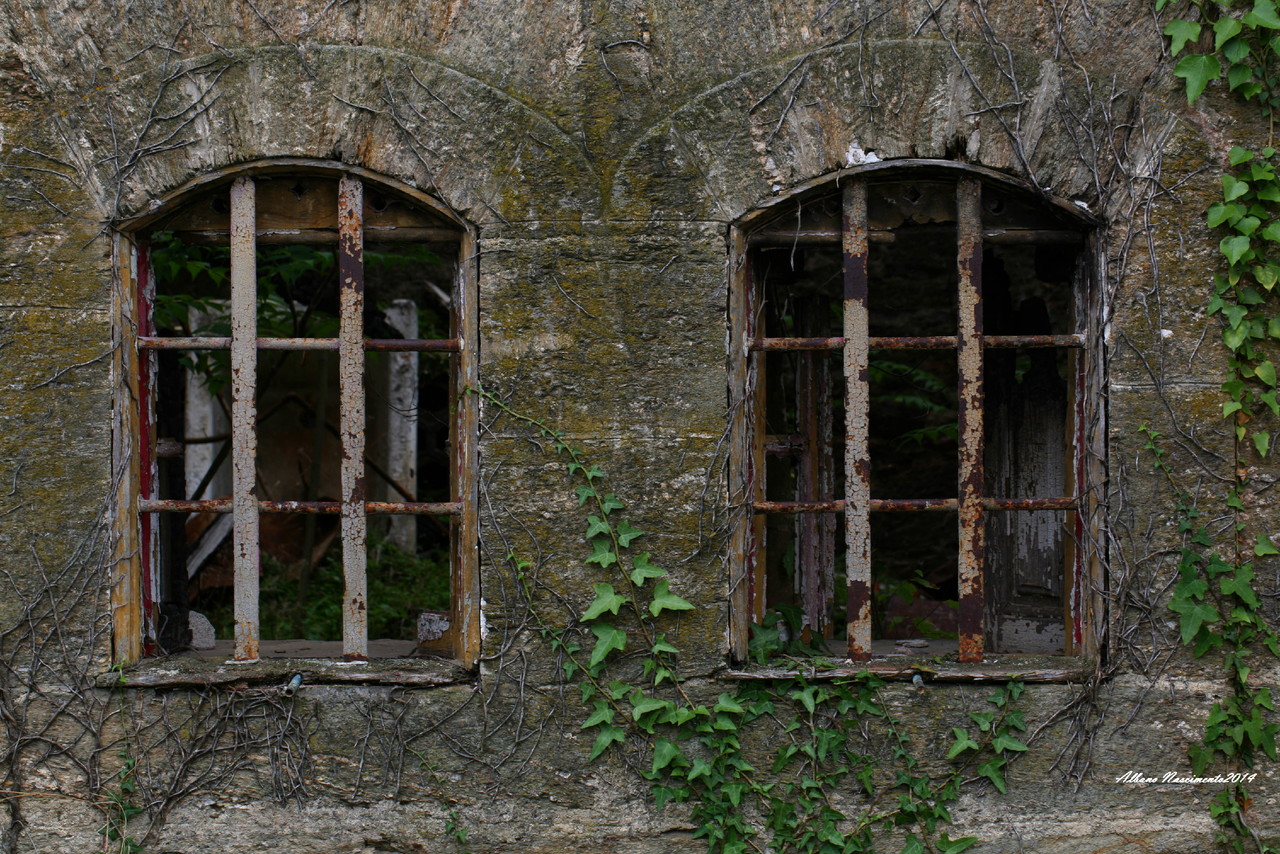 IMG_8157.JPG IMG_8157.JPG