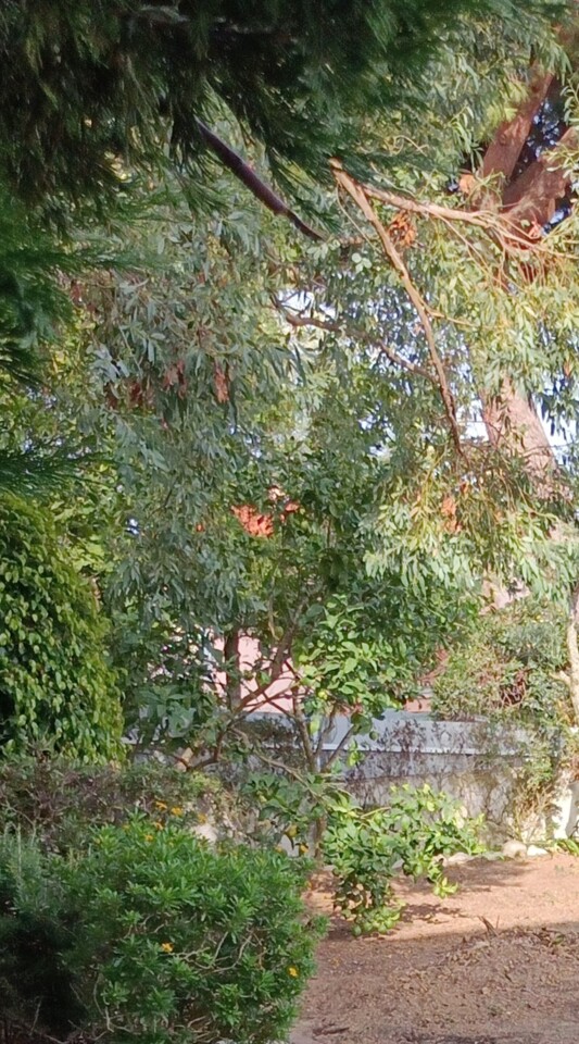 Screenshot_2023-07-21-22-01-18-253-edit_com.miui.g