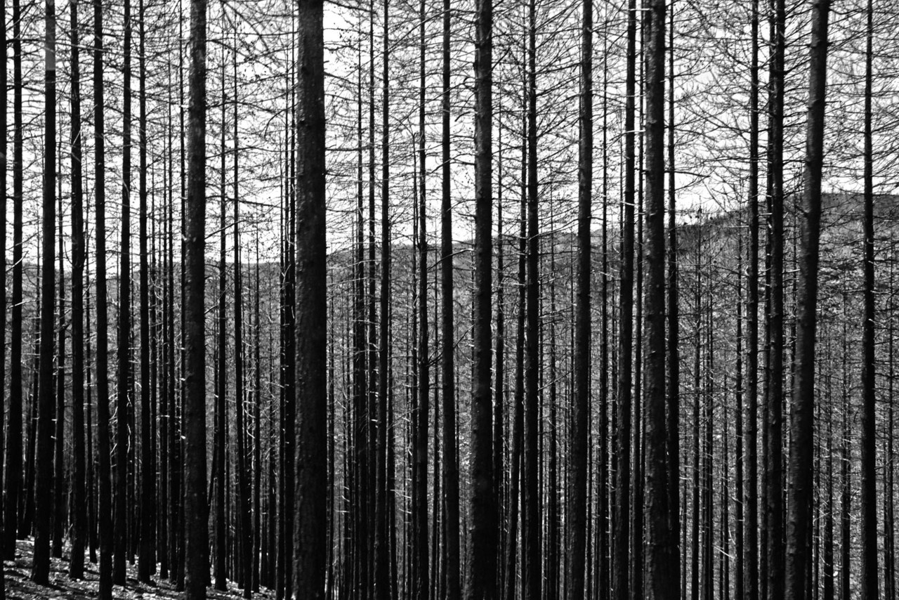 6983460683_e864028538_o.jpg 6983460683_e864028538_o.jpg