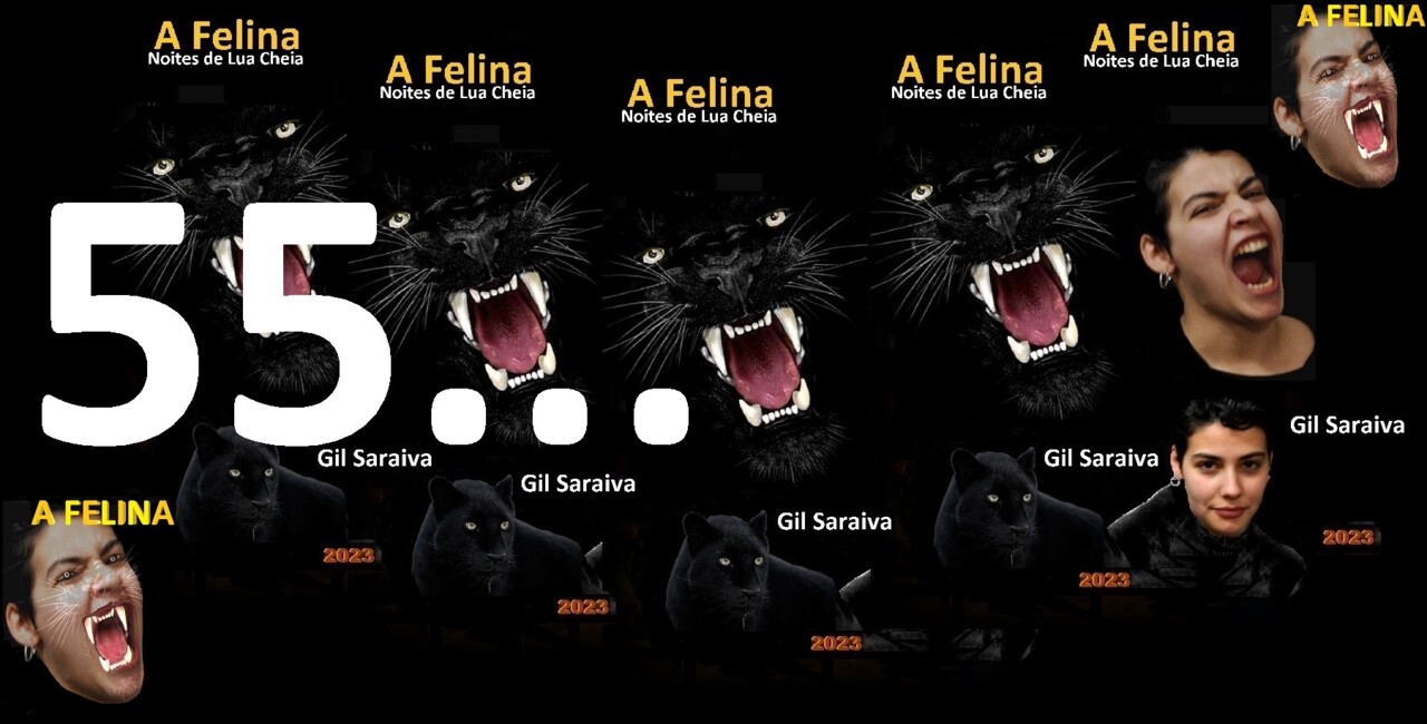 A Felina - 55.jpg