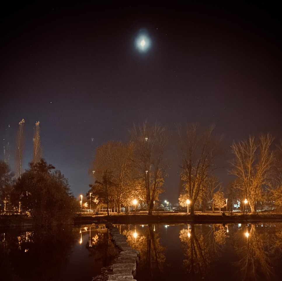 IMG_3254 - cópia.jpg