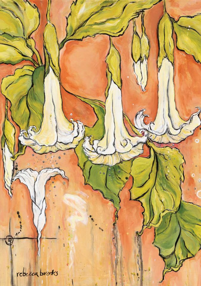 a_luz_torna_se_tu.jpg a_luz_torna_se_tu.jpg