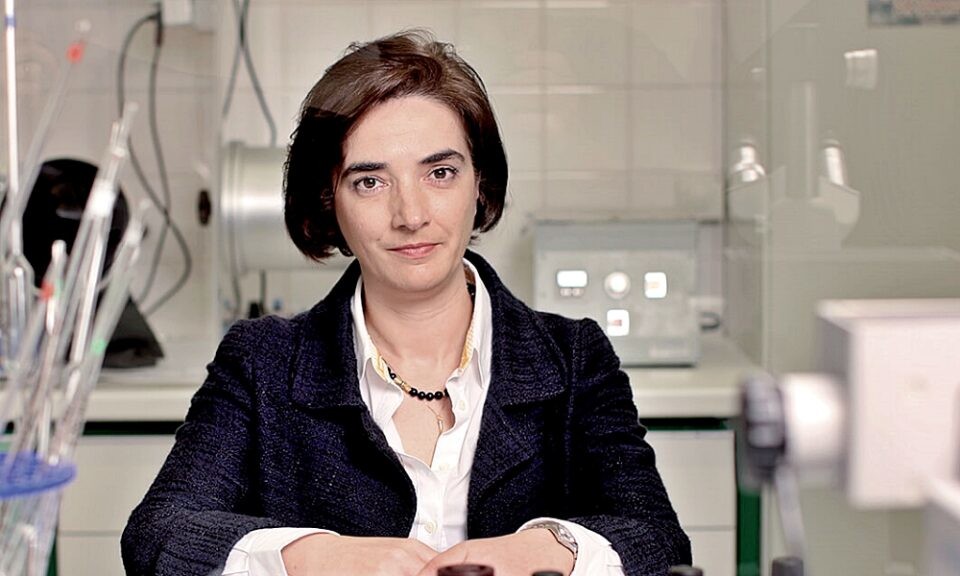 elvira-fortunato-a-cientista-portuguesa-premiada-p