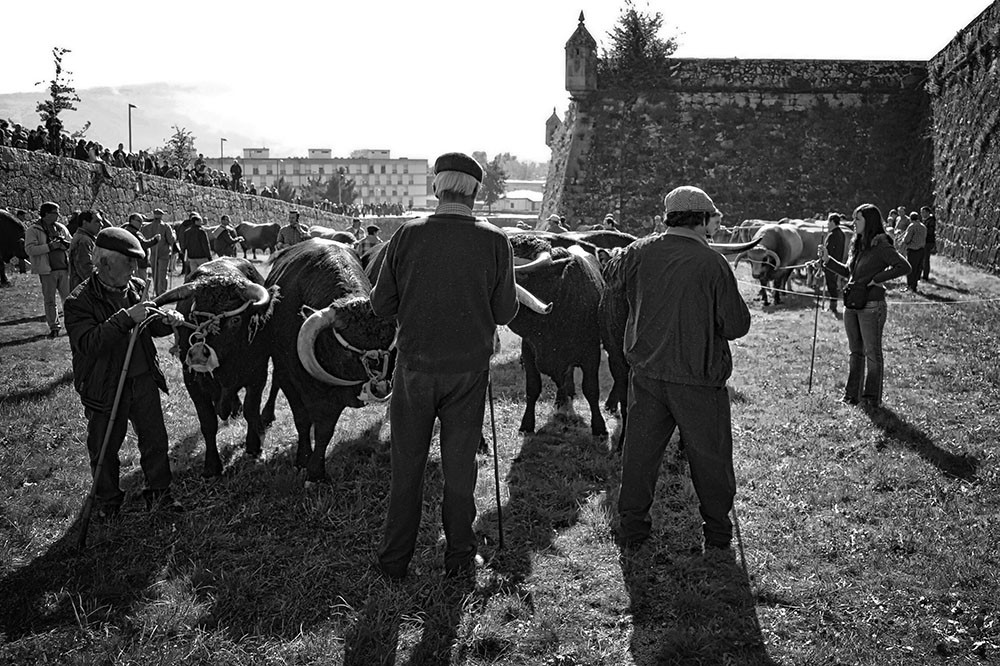 _JMD8479 - Cópia.JPG