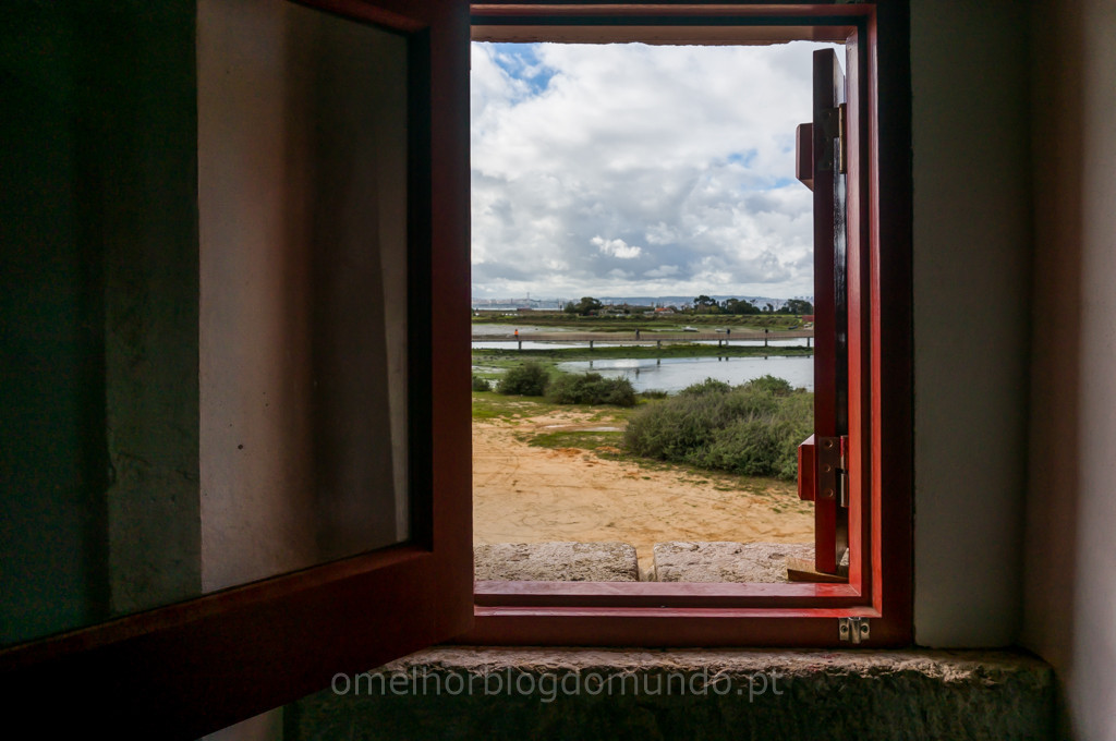 _DSC5526.jpg _DSC5526.jpg