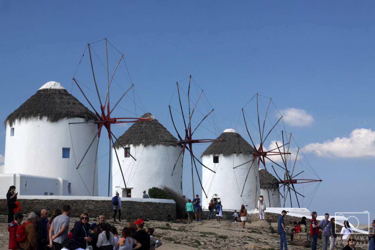 IMG_5831_net.jpg IMG_5831_net.jpg