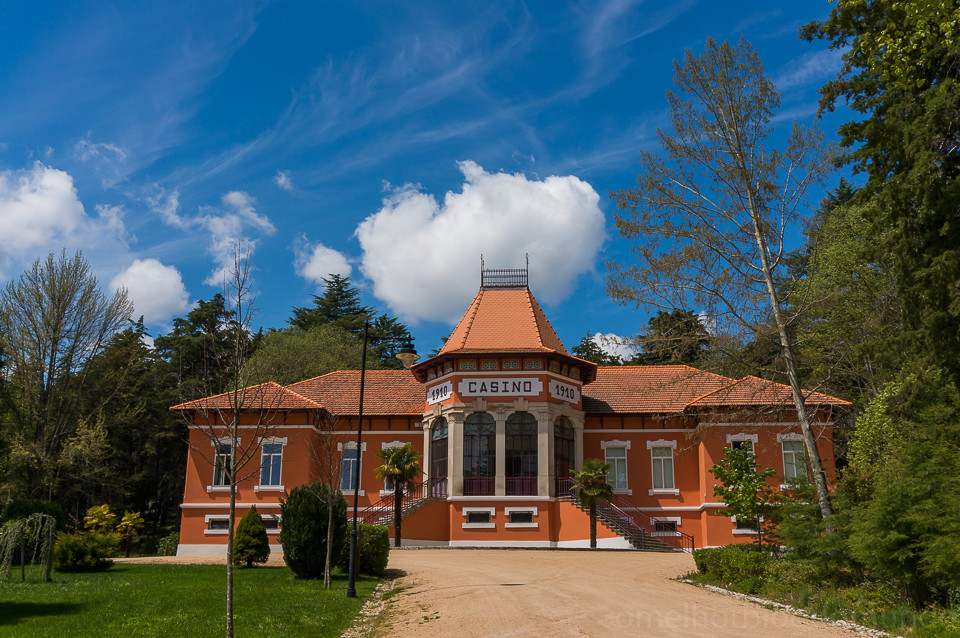 DSC02085.jpg DSC02085.jpg