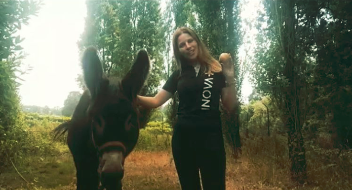 o burro.png