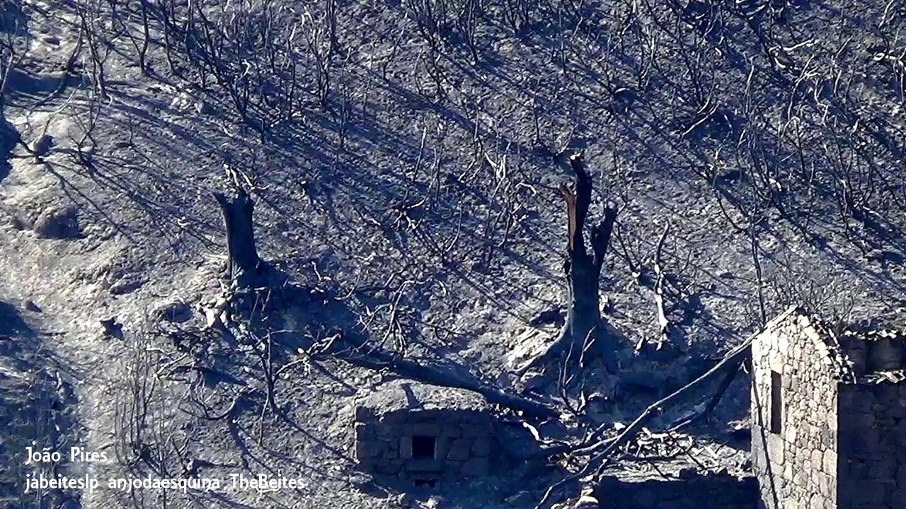 Da Nacional 18     11.jpg