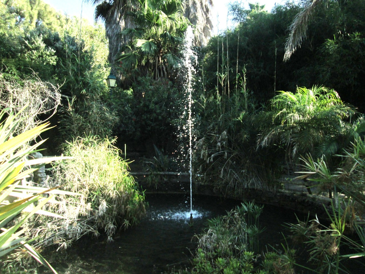 IMG_6665.JPG IMG_6665.JPG