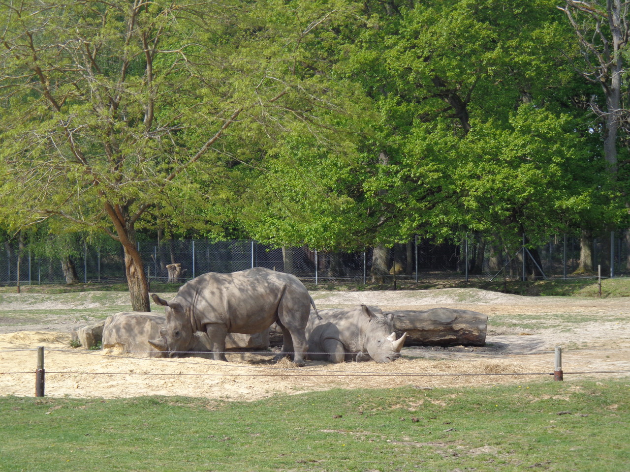 DSC09341.JPG DSC09341.JPG