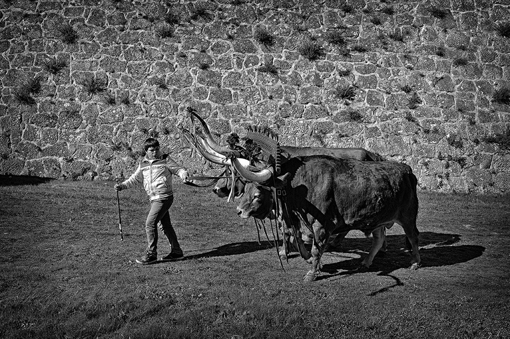 _JMD8389.JPG _JMD8389.JPG