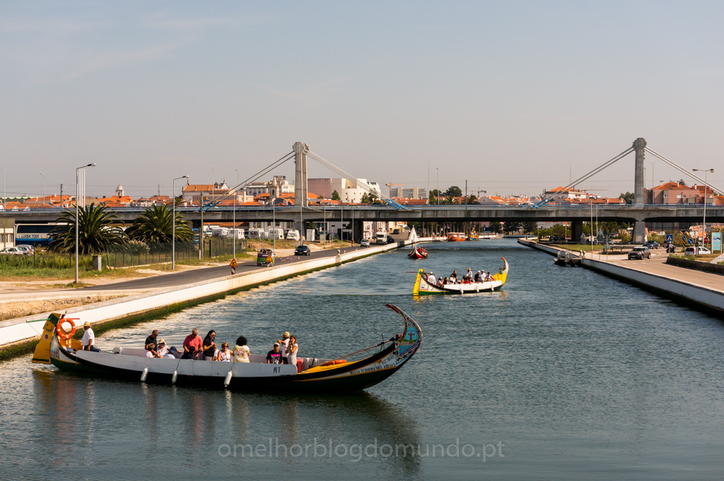 DSC04974.jpg DSC04974.jpg