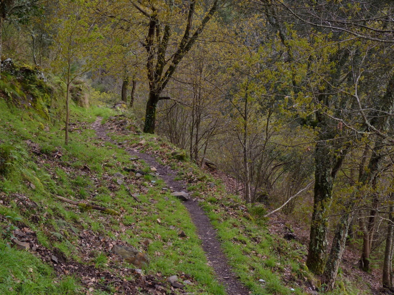 Lousã (16).JPG Lousã (16).JPG