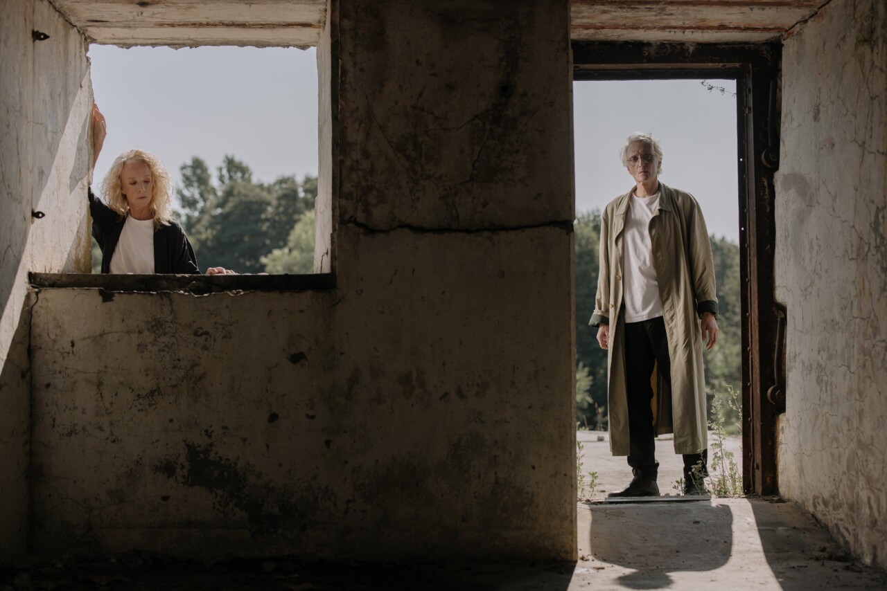 cottonbro studio/Pexels 