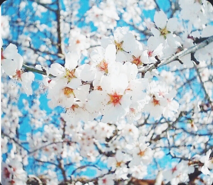 2CFDEC23-C624-4CC8-87FD-B06092AA2E8A.jpeg 2CFDEC23-C624-4CC8-87FD-B06092AA2E8A.jpeg