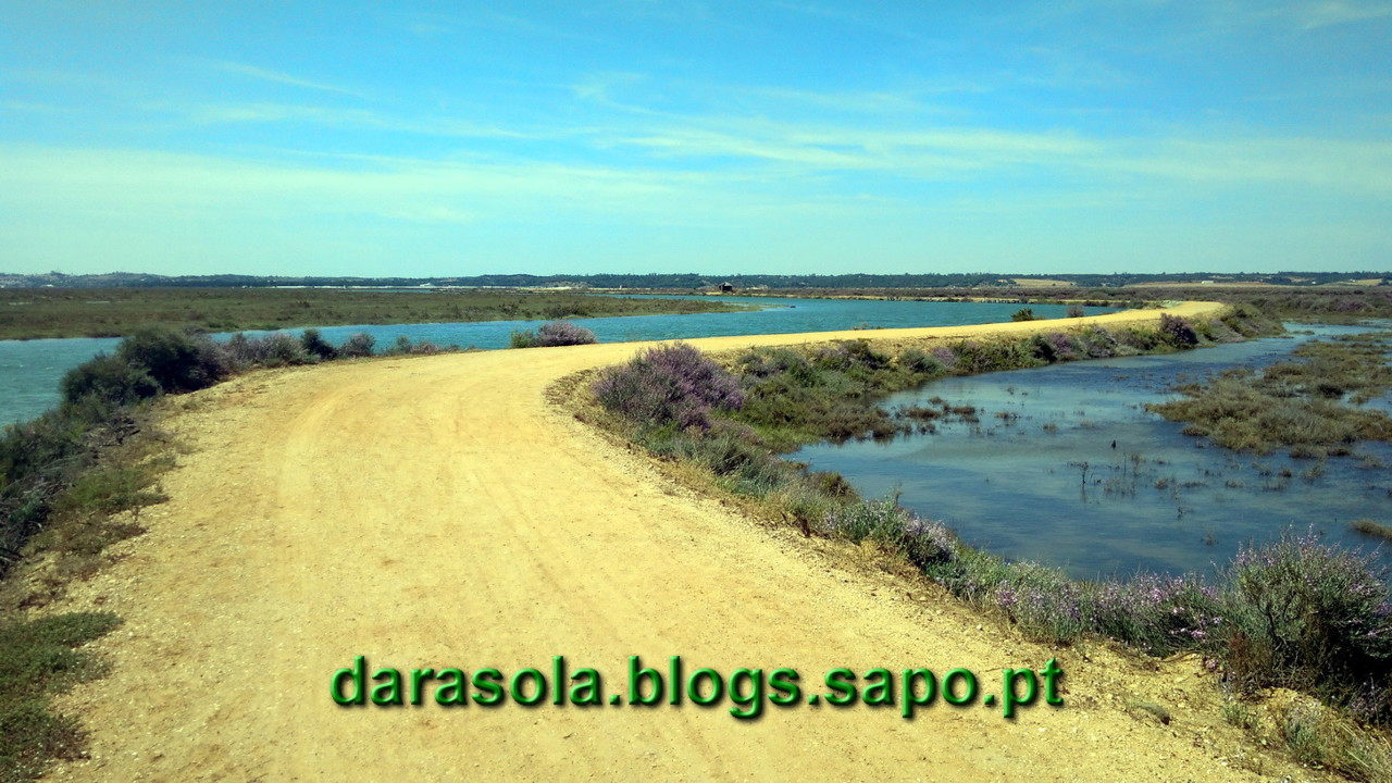 Maresmas_Isla_Canela_15.jpg Maresmas_Isla_Canela_15.jpg