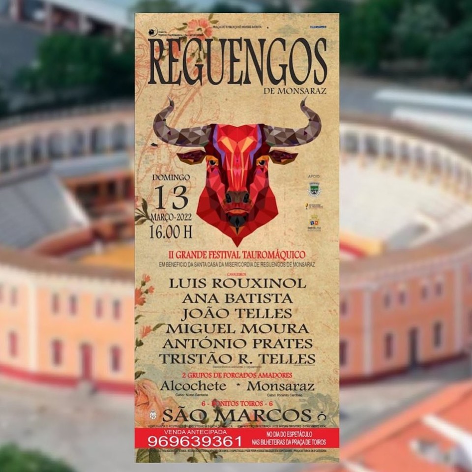 130322 - REGUENGOS.jpg