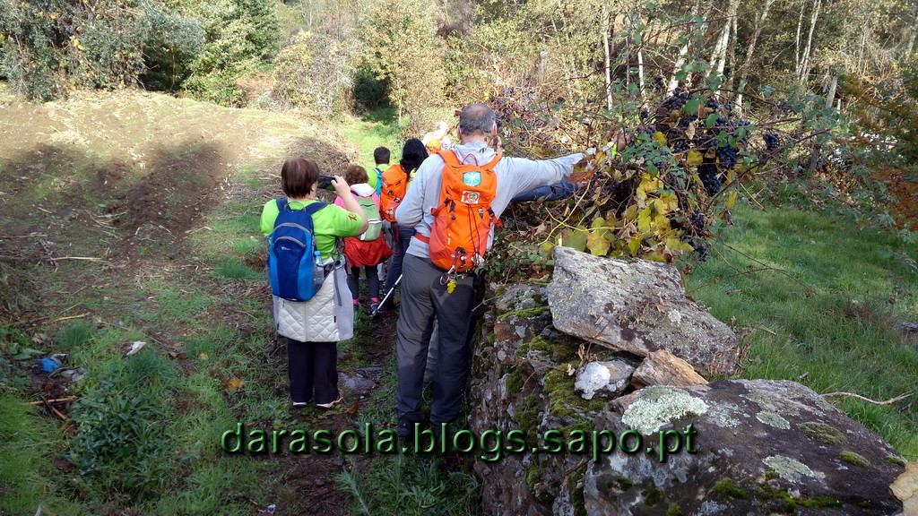 Minas_Queiriga_17.jpg Minas_Queiriga_17.jpg