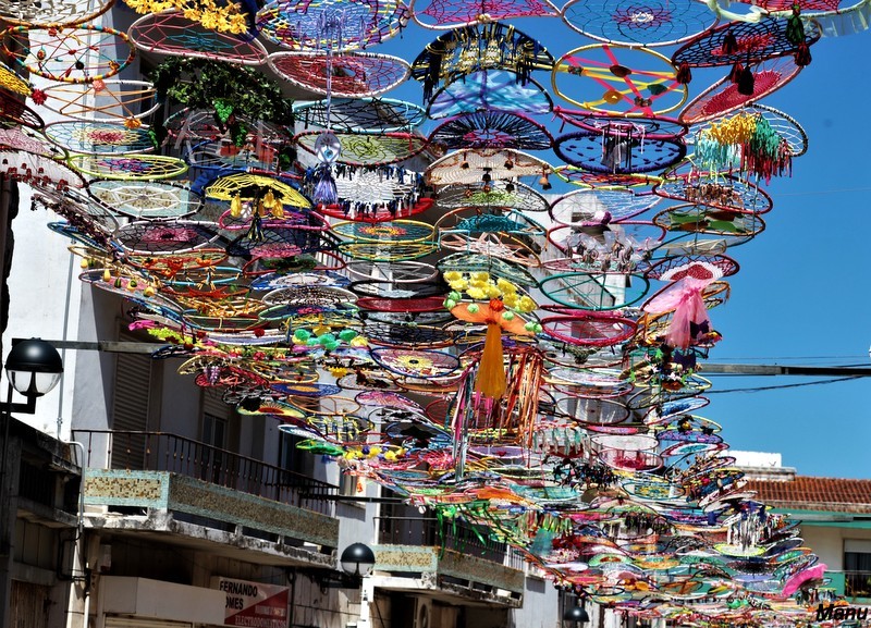 IMG_7128rua.jpg IMG_7128rua.jpg