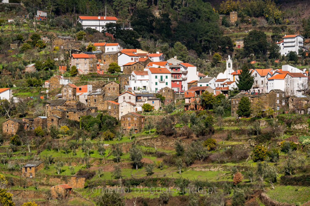 _DSC5403.jpg _DSC5403.jpg