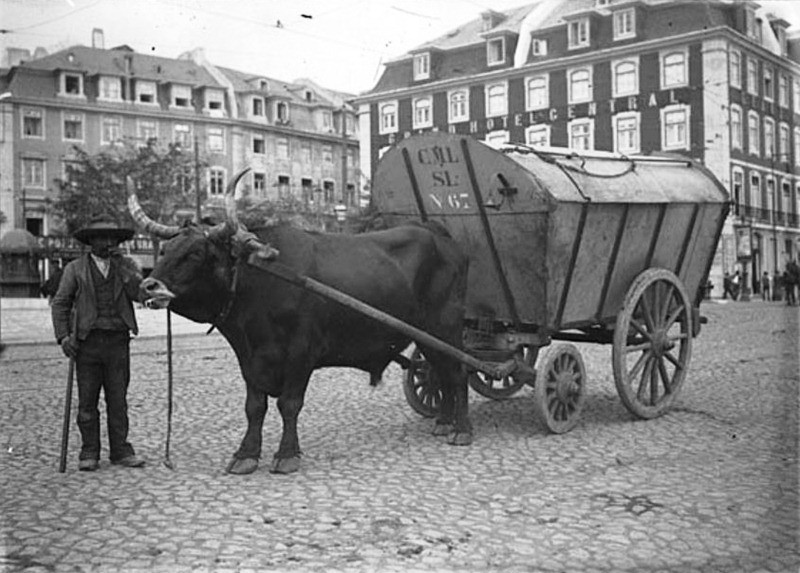 Recolha de Lixo[4].jpg