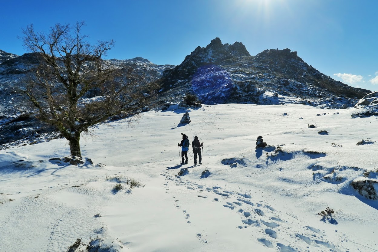 IMG_0031.JPG IMG_0031.JPG