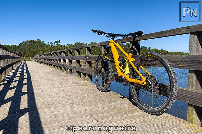 Fev_2025_005 650px.jpg