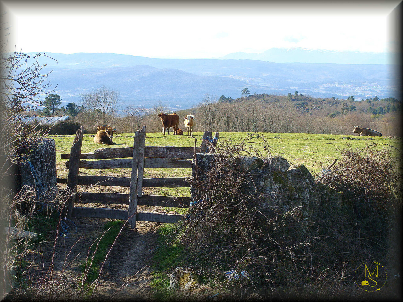 04Fev DSC01479_ms.JPG