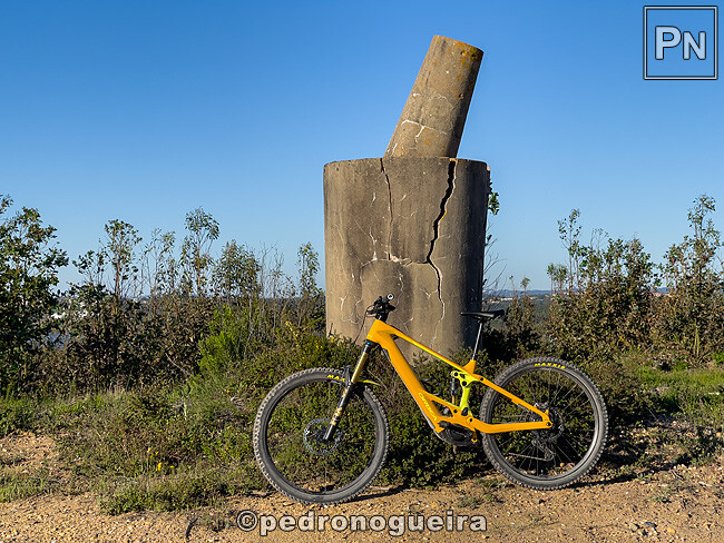 Mar_2025_071 650px.jpg