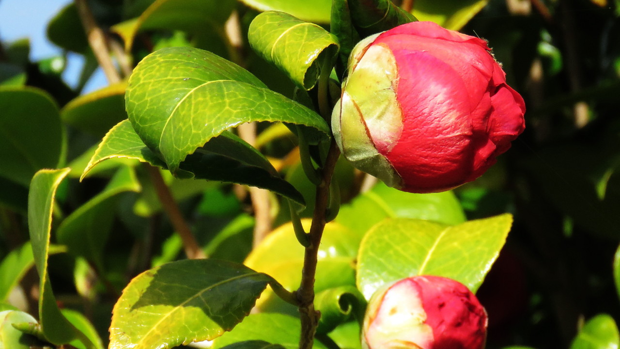 2017-12-24 13-20-43_0123.jpg