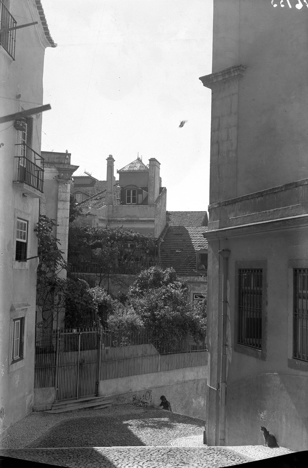 Escadinhas de São Crispim, ant. 1952, foto de Edu