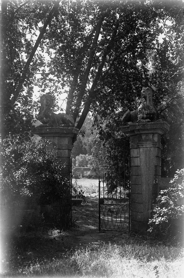 Quinta da Alfarrobeira.jpg