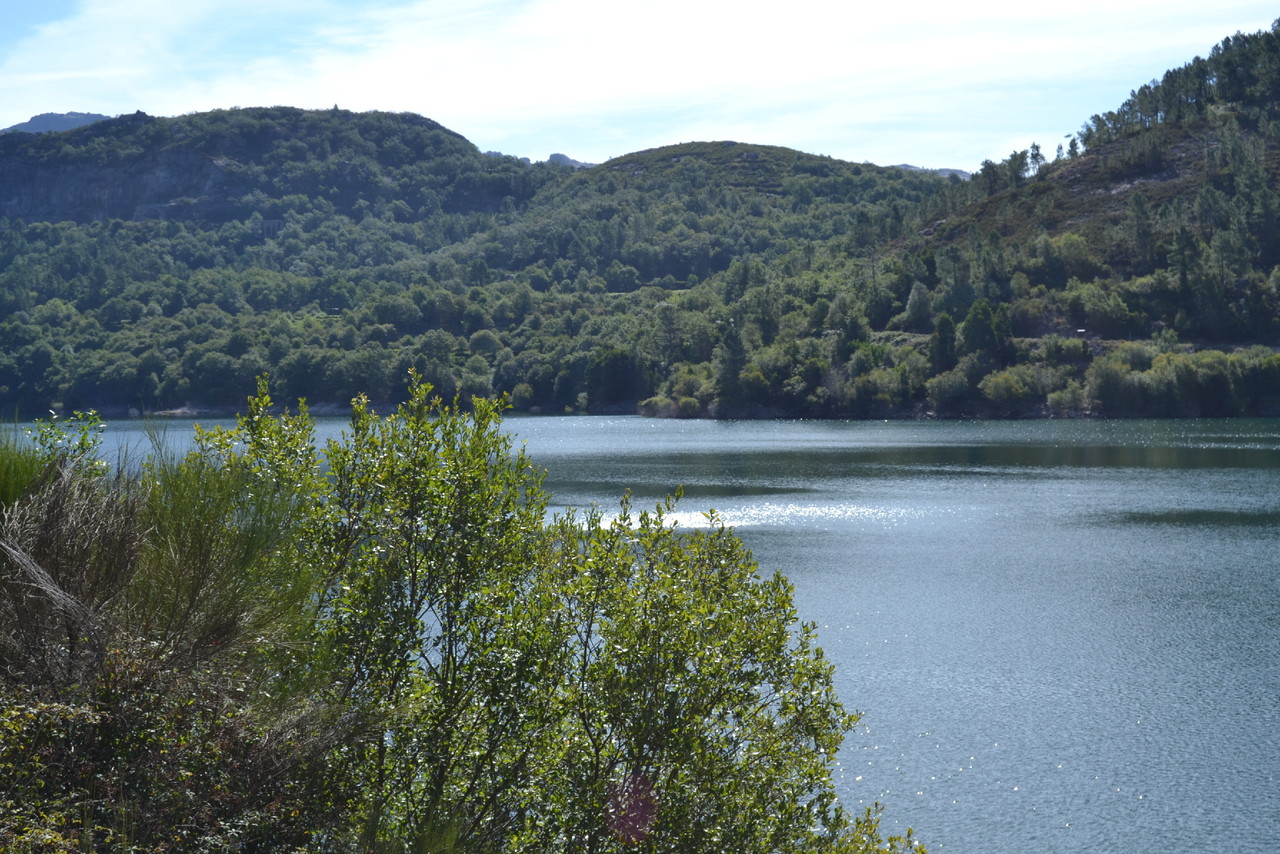 DSC_0892.JPG DSC_0892.JPG