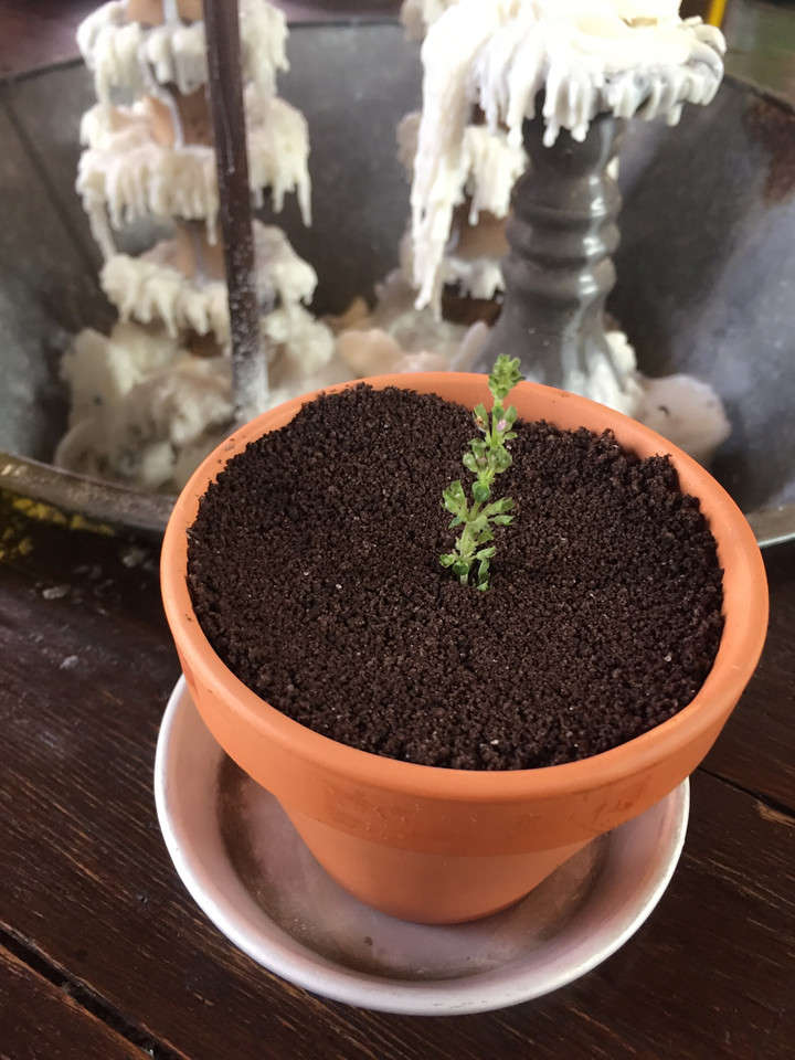 IMG_9042.JPG IMG_9042.JPG