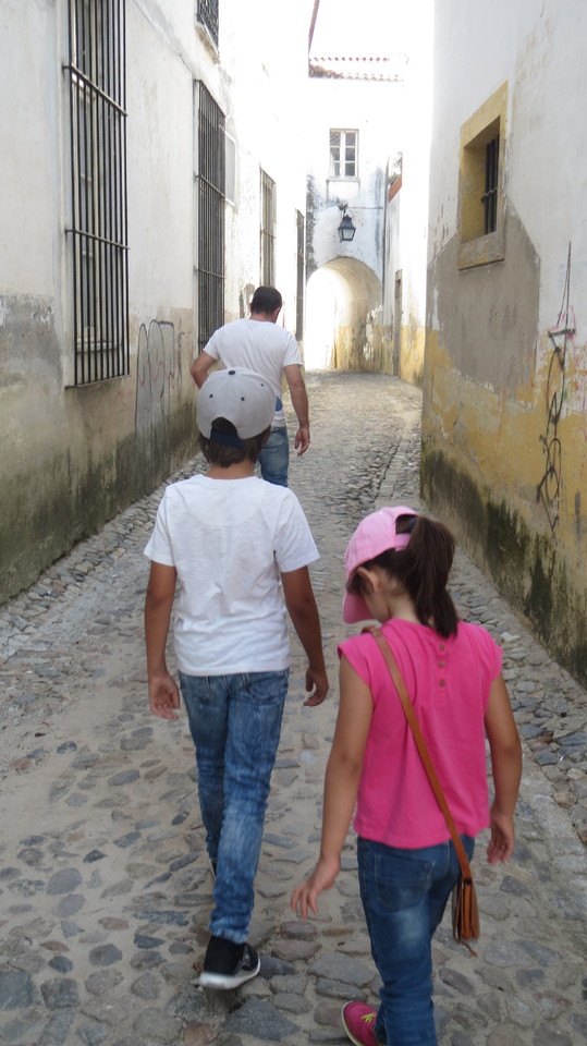 IMG_2154.JPG IMG_2154.JPG