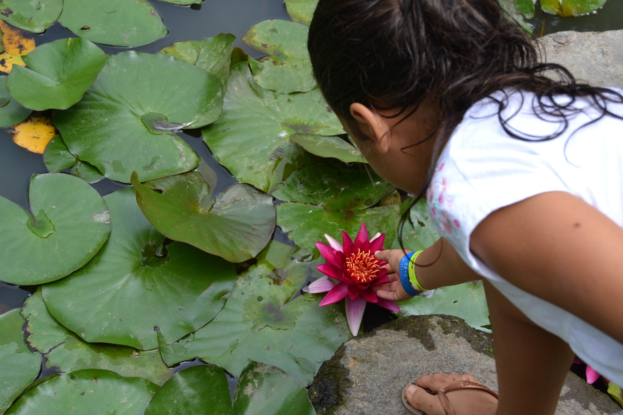 DSC_0237.JPG DSC_0237.JPG