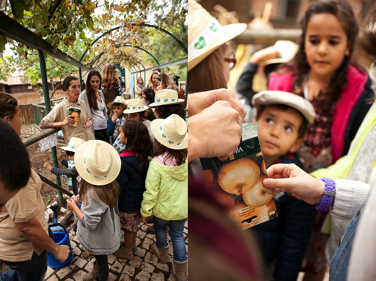 bledina.png bledina.png