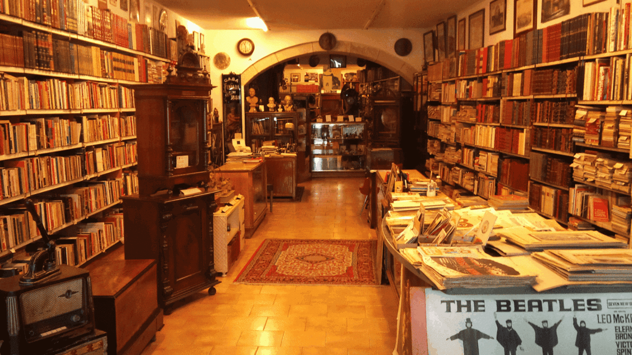 livraria chamine da mota.gif livraria chamine da mota.gif