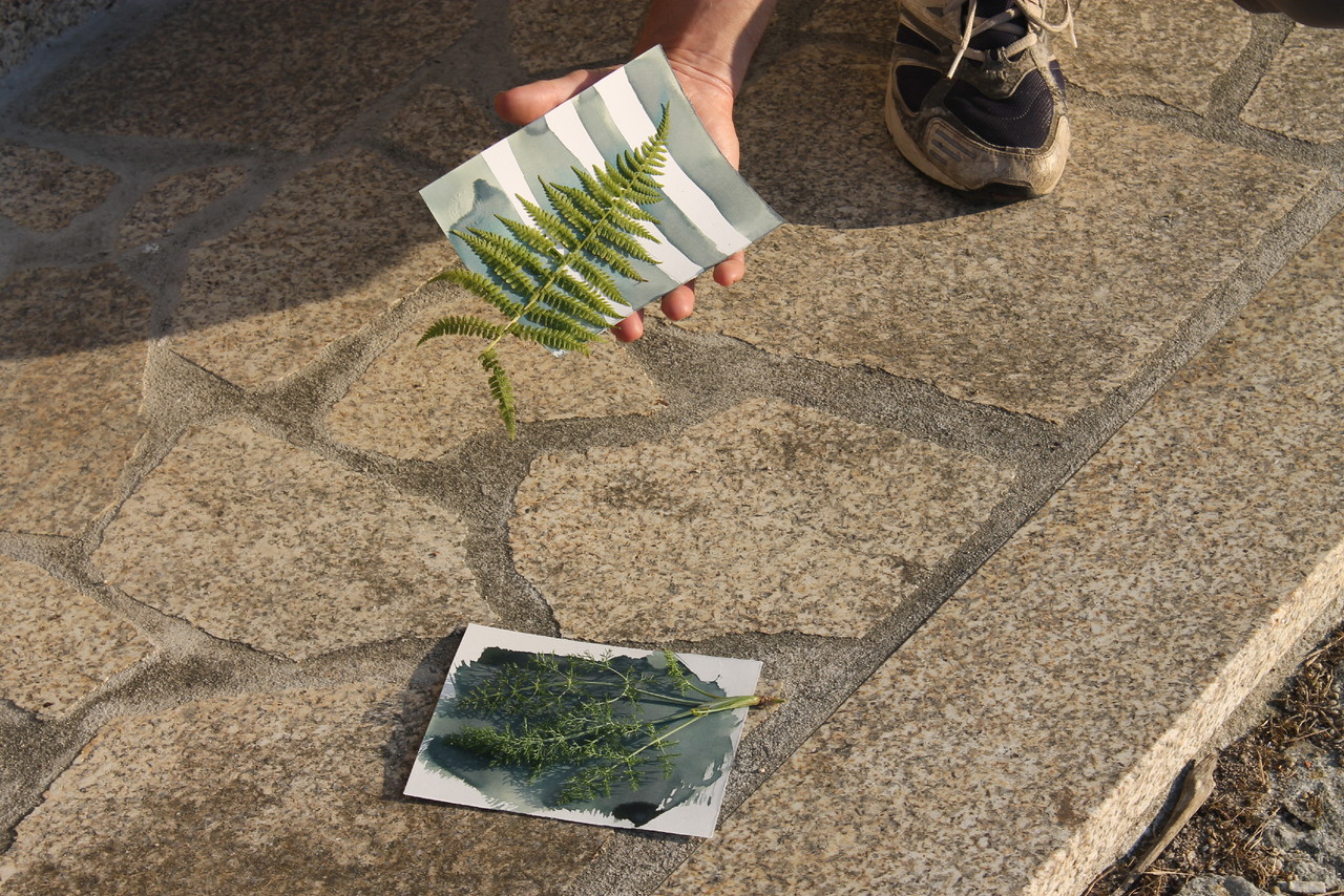 IMG_0038.JPG IMG_0038.JPG