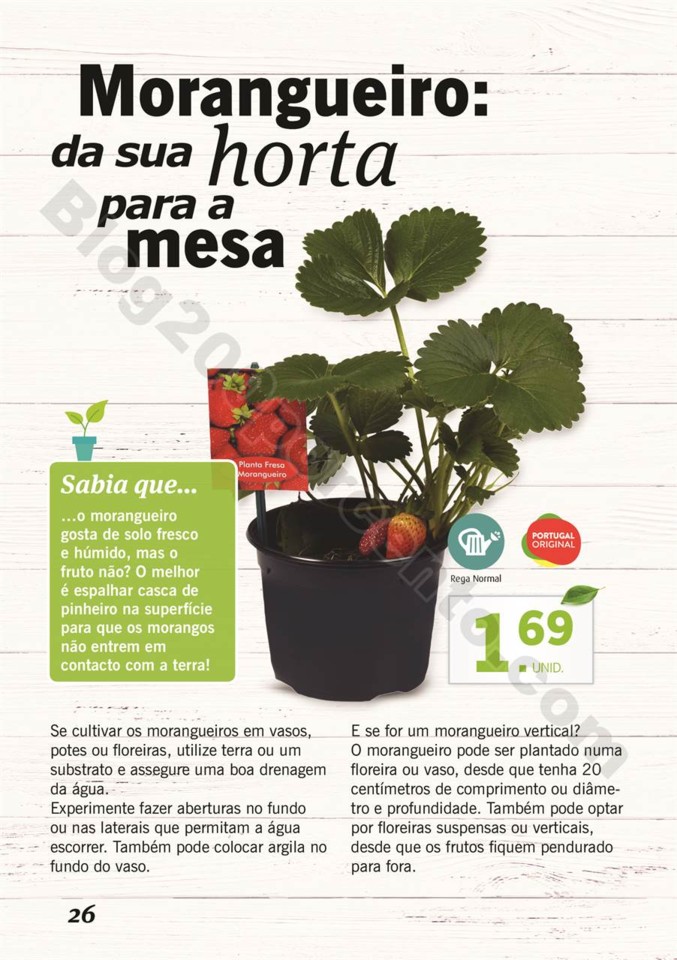 plantas_lidl_mercado_025.jpg