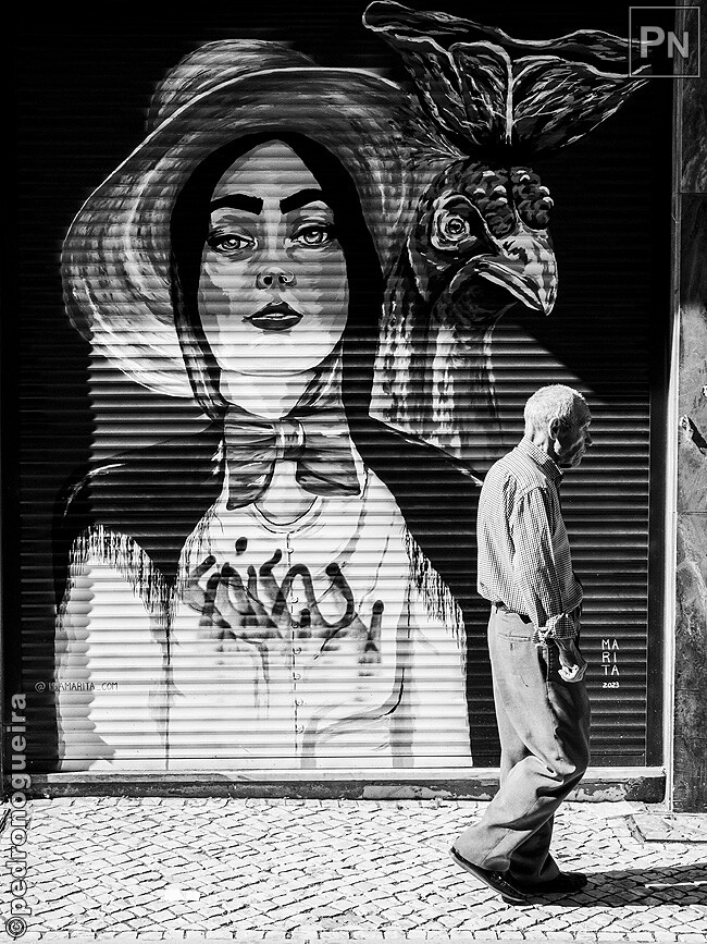 Jul_2023_051 650px.jpg