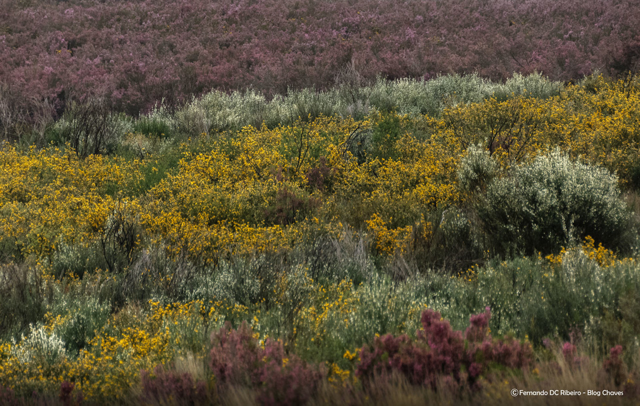 1600-olas (181)-granjo 5.jpg