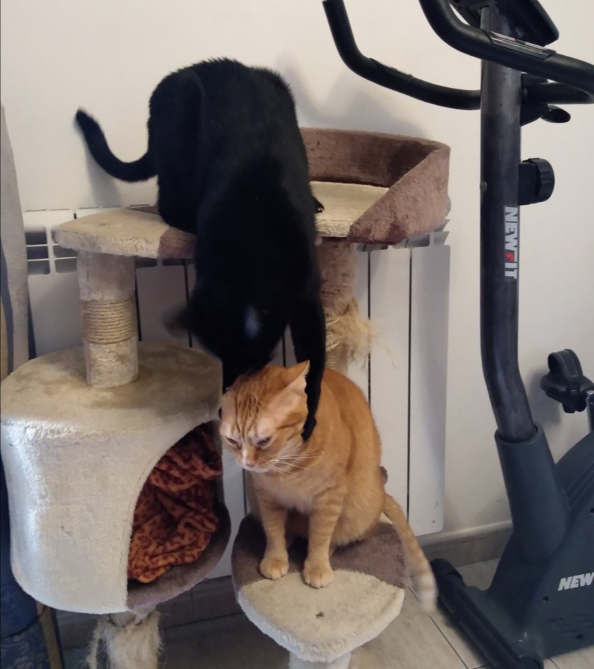 SquarePic_20201125_16423322.jpg SquarePic_20201125_16423322.jpg