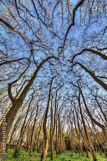 _MG_3653_57 edited 650px.jpg