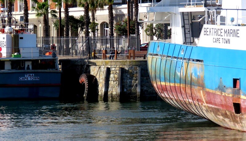 IMG_0735 África do Sul.JPG